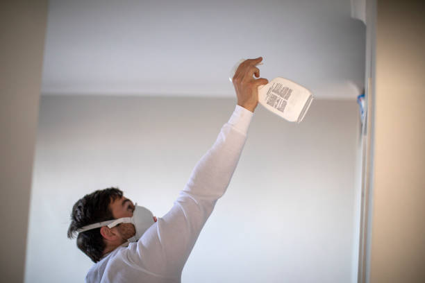 Best Basement Mold Remediation in Palm Valley, FL